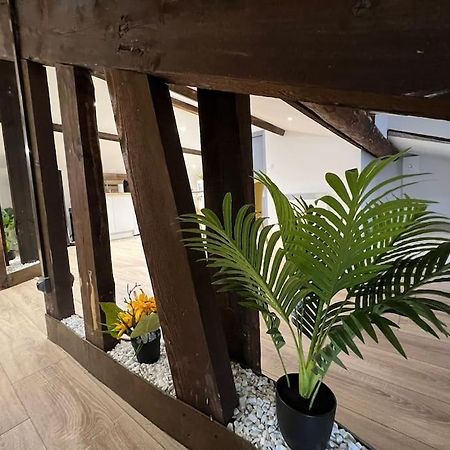סן-דיזייה Kiss Cool - Loft En Centre Ville מראה חיצוני תמונה