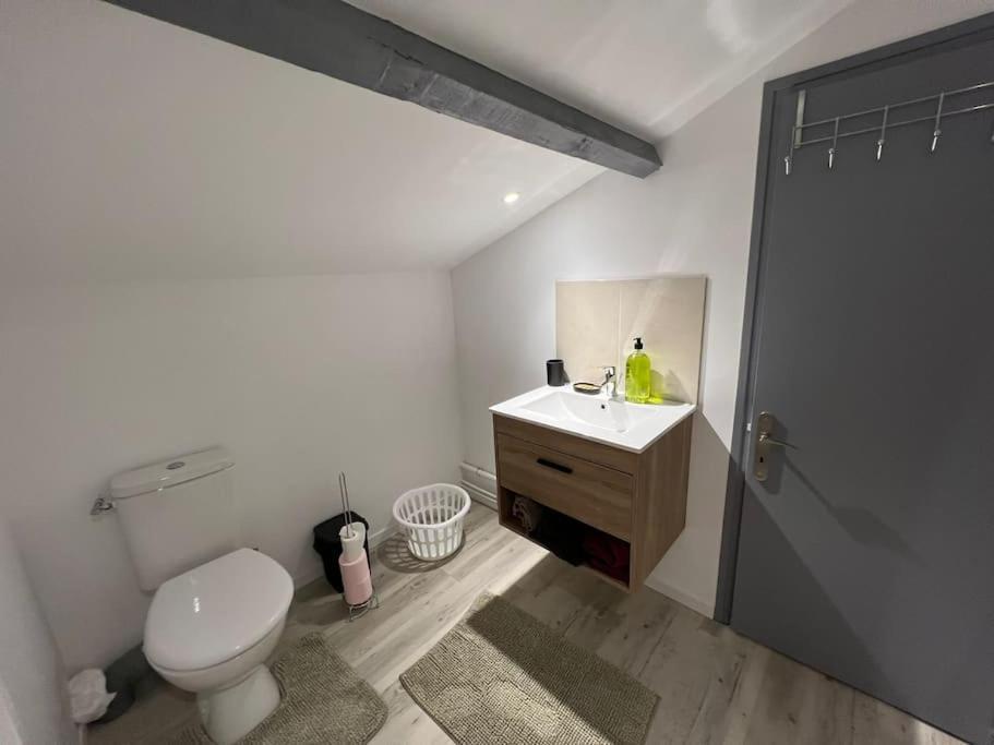 סן-דיזייה Kiss Cool - Loft En Centre Ville מראה חיצוני תמונה